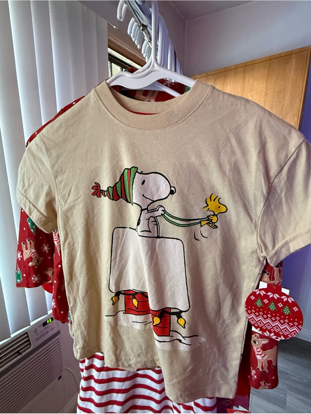Biscotti Cream Snoopy & Woodstock Holiday Tee